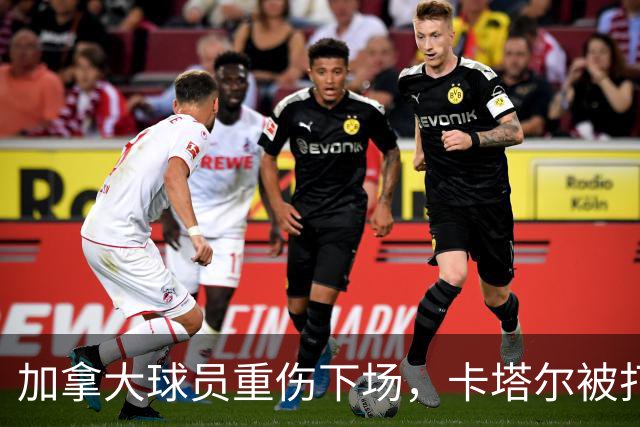 加拿大球员重伤下场，卡塔尔被打爆，“输球又输人”