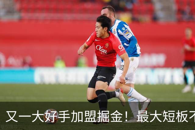 又一大好手加盟掘金！最大短板不复存在，硬刚马刺雷霆有戏了