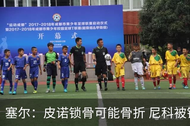 塞尔：皮诺锁骨可能骨折 尼科被铲伤可能提前结束世界杯之旅
