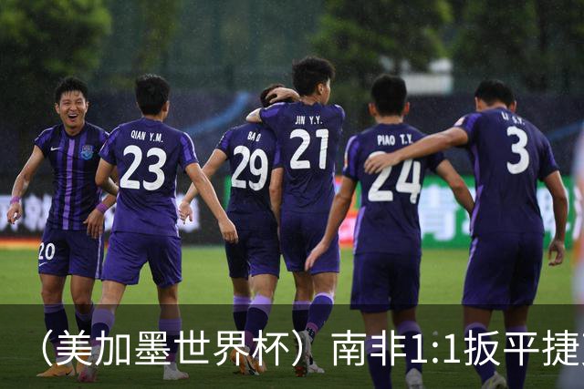 （美加墨世界杯）南非1:1扳平捷克 瑞士4:1战胜十人波黑